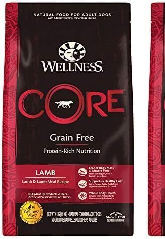 Wellness Core Grain-Free