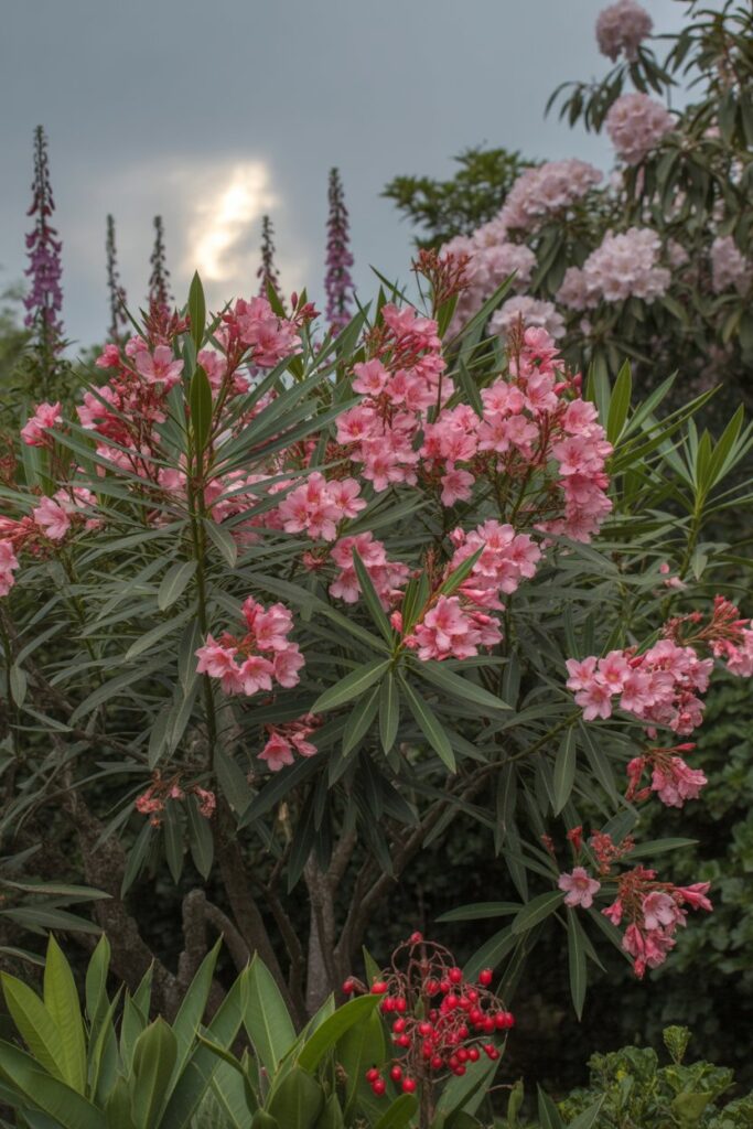 Dangerous Outdoor Plants