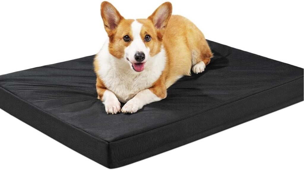 Chew-Resistant Outdoor Beds