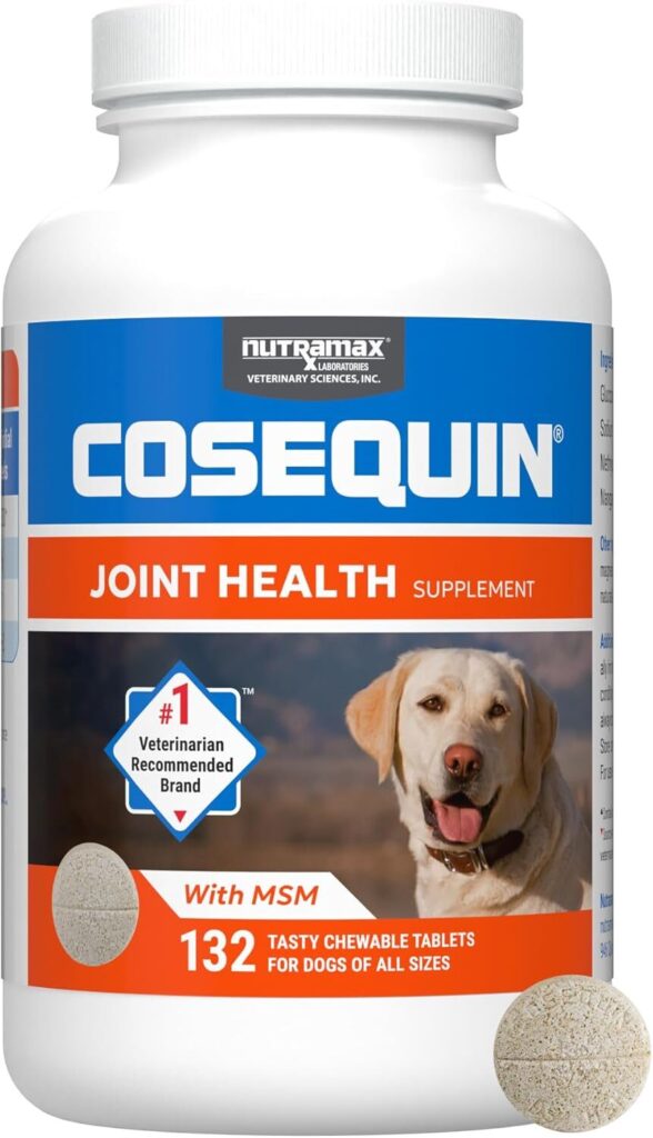 Cosequin DS Plus MSM