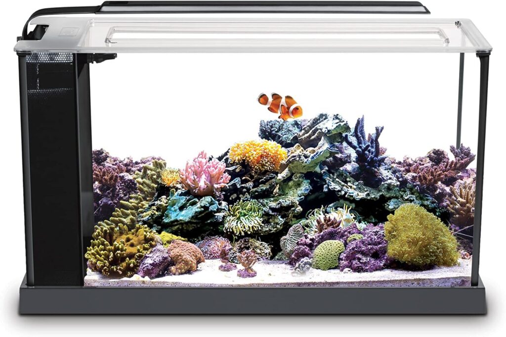 Fluval Evo V Marine Aquarium Kit