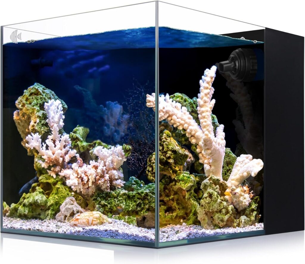 Landen Rimless Low Iron Aquarium Tank