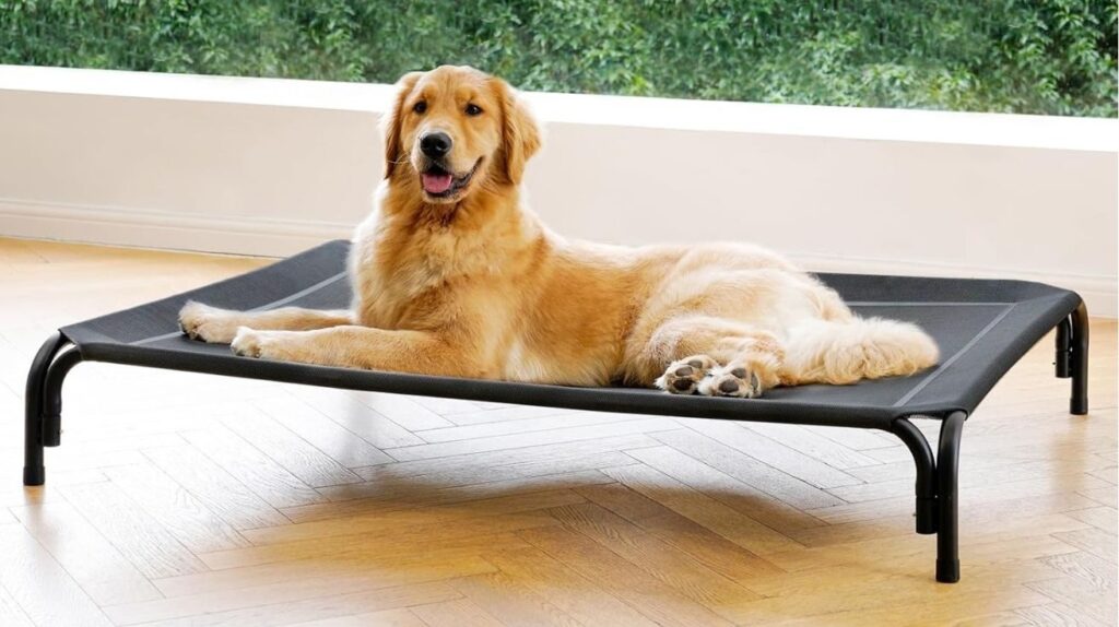 Outdoor Cushion Beds