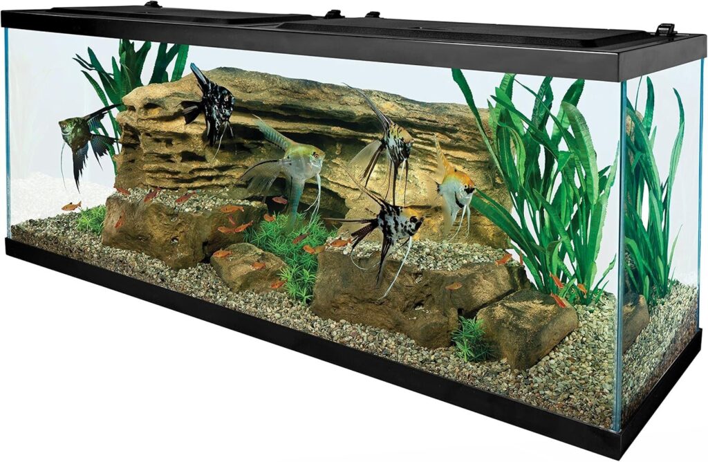 Tetra 55-Gallon Aquarium Kit with Stand