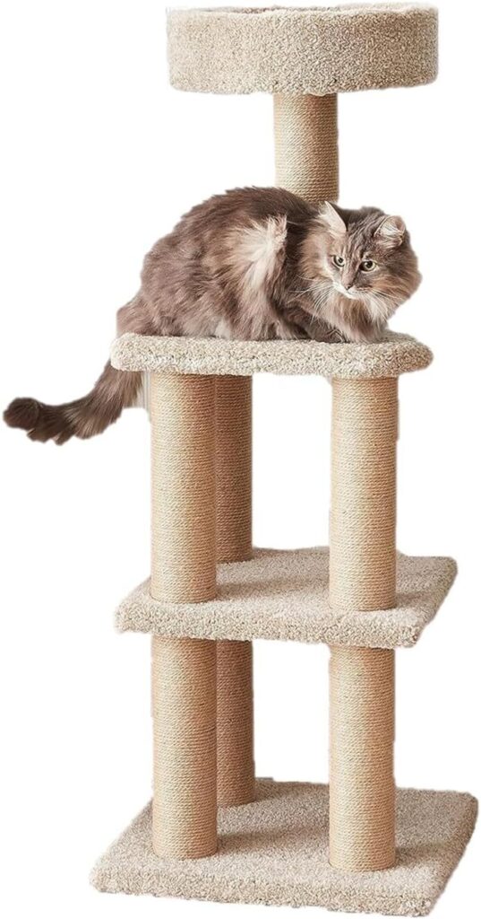 The Compact Condo Climber