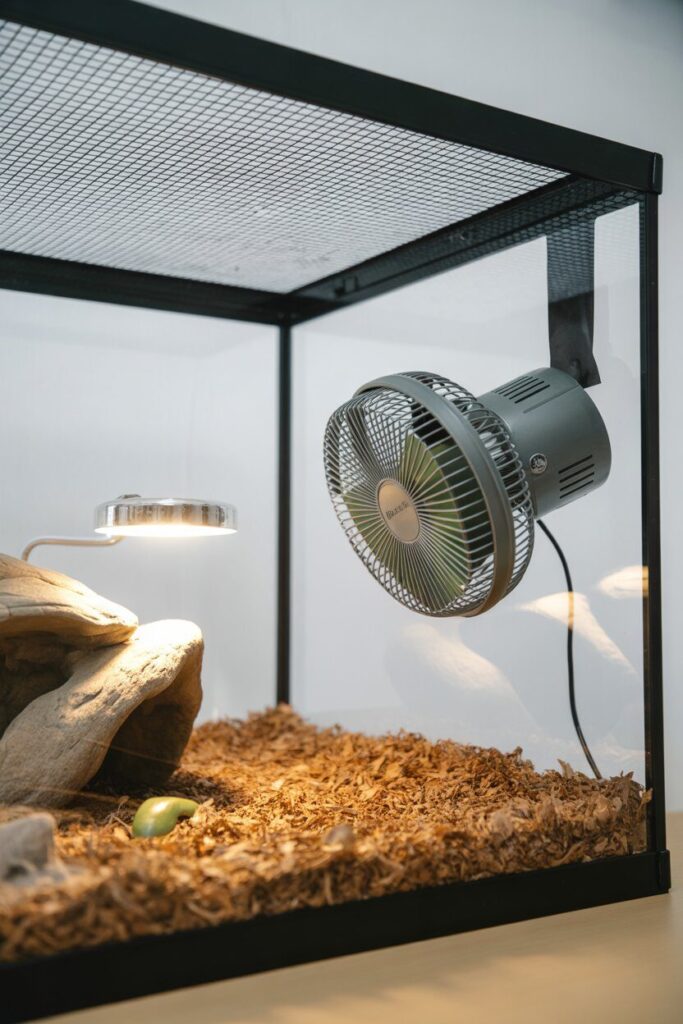Tips for Maximizing Ventilation in Screen-Top Terrariums