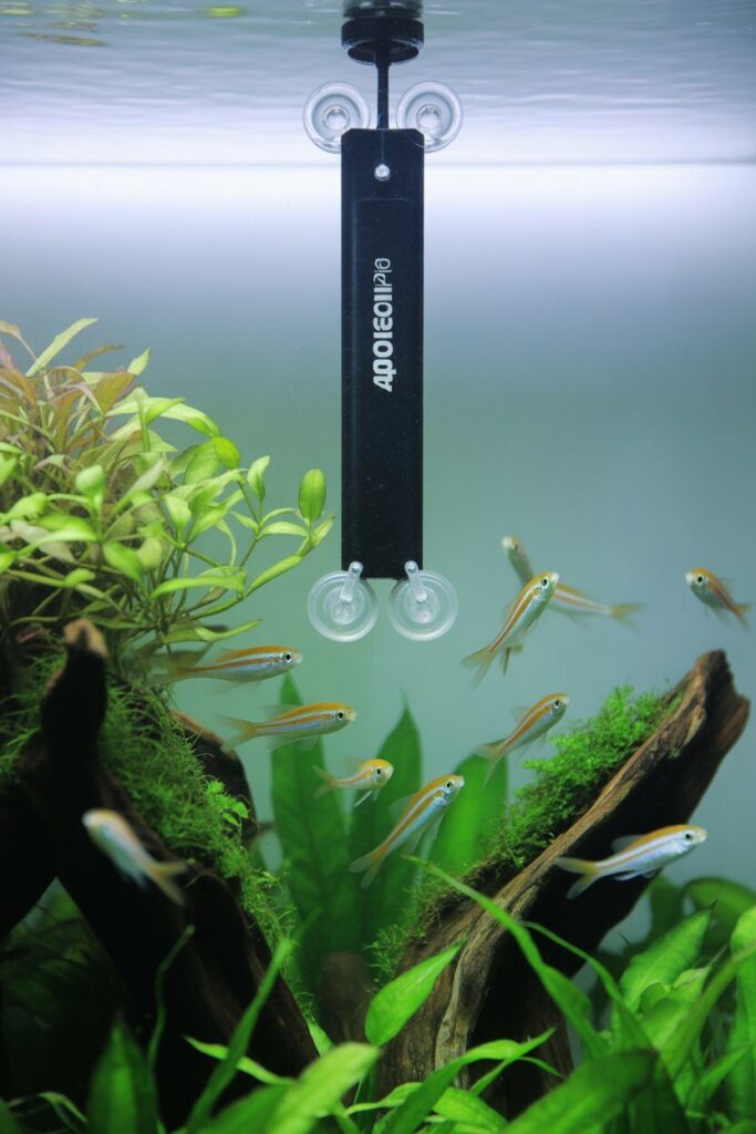 Tips for Using Preset Aquarium Heaters