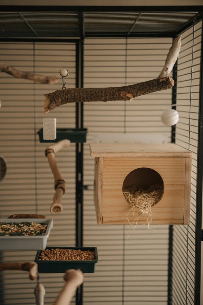 Setting Up Your Double Flight Cage for Breeding