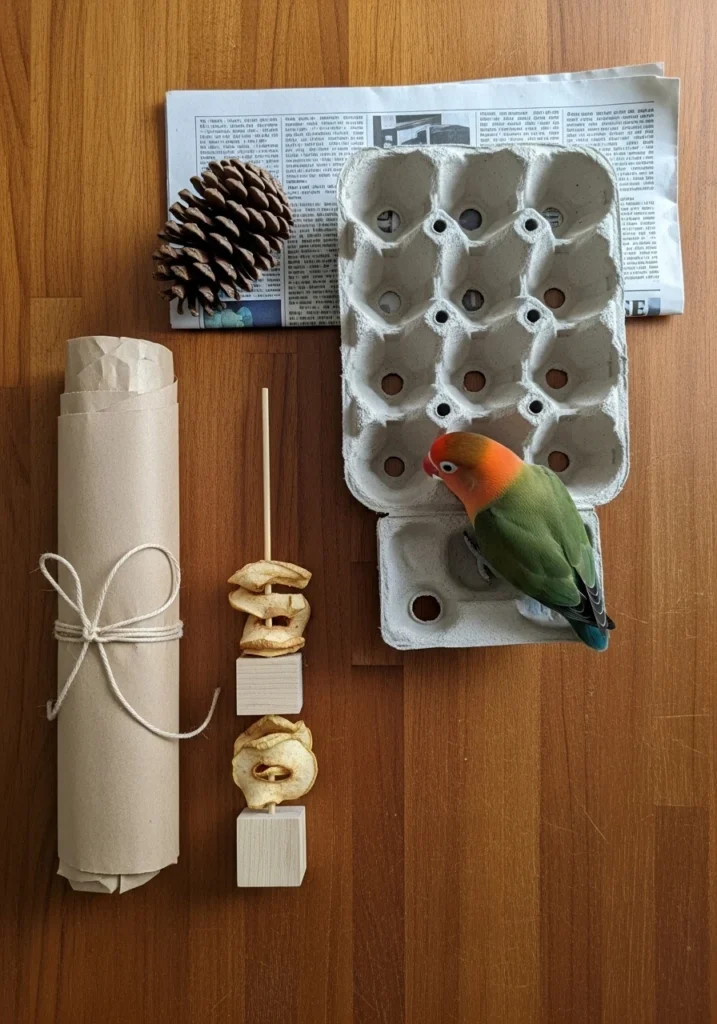 DIY Enrichment on a Budget