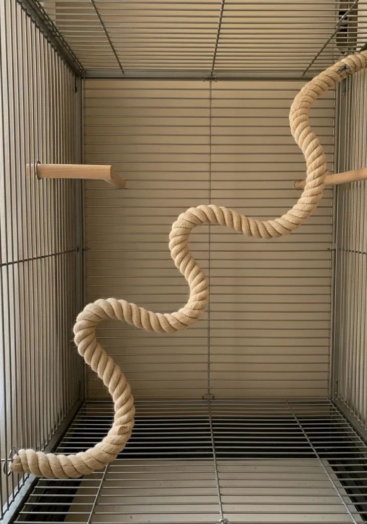 Length and Flexibility