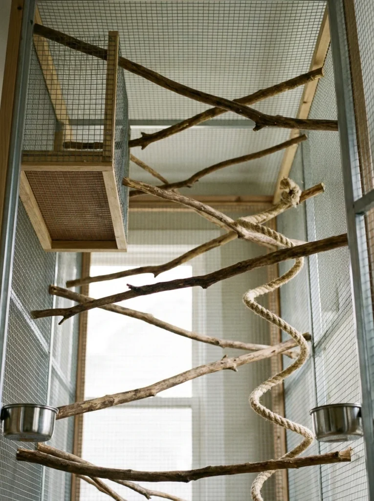 Perch Placement: Think Like a Bird