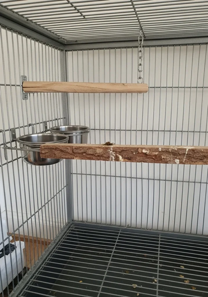 Placement in the Cage